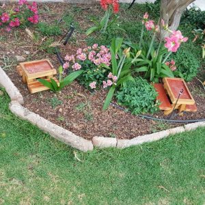 Birdfeeder - Table