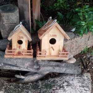 Birdfeeder - House 2